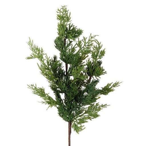 [MTX68564] 24" REAL TOUCH CEDAR SPRAY