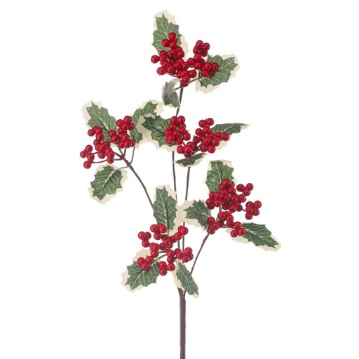 [MTX66857] WP VARIGATED HOLLY  SPRAY RED/GREEN