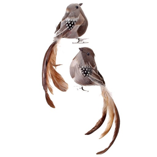 [MTX58784] 7´´ NATURAL FEATHER LONG TAIL BIRD CLIP INDIVIDUAL