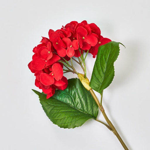 [743902901777] 21" NATURAL HYDRANGEA BLOSSOM STEM"
