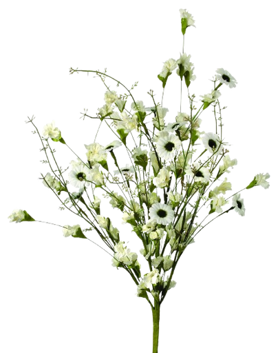 [MTF21336] DAISY AND THISTLE BUSH 24