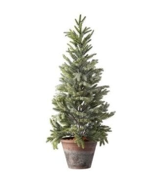[743902831890] 24" PTD FROSTED MINI SPRUCE TREE 