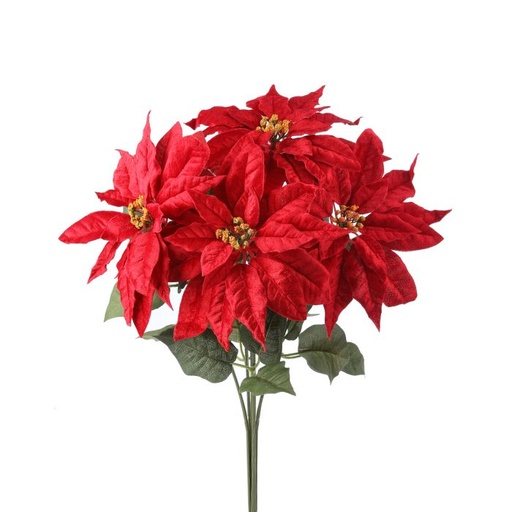 [MTX62299] 20" WP DIAMOND VELVET POINSETTIA X5 BUSH 