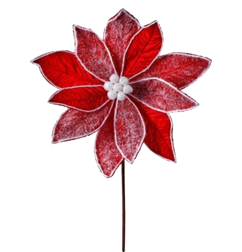 [MTX62049] 28´´FROST VELVET POINSETTIA STEM