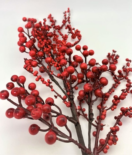 [743902767649] 26" WP MINI BERRY/CRANBERRY SPRAY"