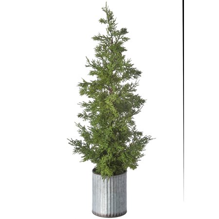 [743902750801] 26 GALVANIZE POTTED CEDAR PLANT NATURAL GREEN