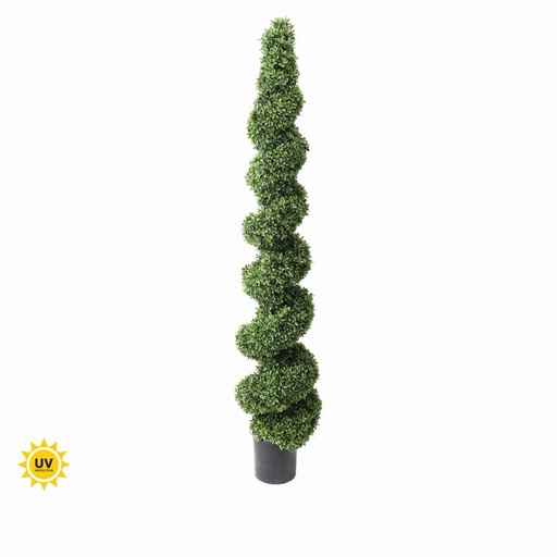 [MTX22278] PL.UV PRF AMERICAN BOXWOOD SPIRAL TOP 72´´