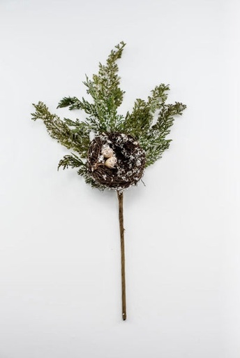 [743902124459] FROSTED CEDAR WITH BIRDNEST SPRAY 20"