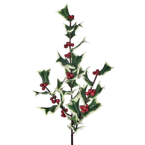 [MTX63398] 30" FRESH CUT HOLLY SPRAY 