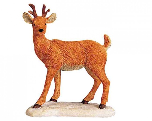 [728162923431] DEER ON THE HOFF