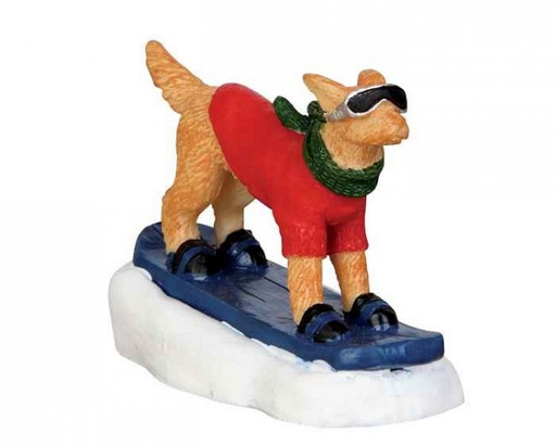 [42222] SNOWBOARDING DOG