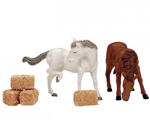 [12511] FEED FOR THE HORSES