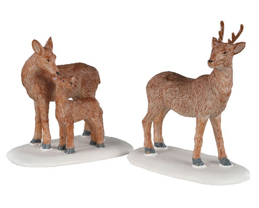 [02929] DEER FAMILY