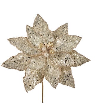 [48893971328] POINSETTIA GOLD