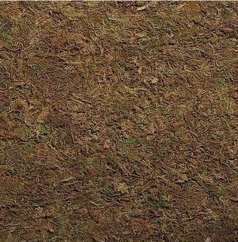 [59546] 18"W X 36"W MOSS LANDSCAPE FOR. FONTANINI 