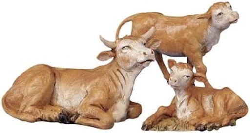 [51534] OX FAMILY 5´´