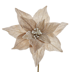 [086131828706] 20"CHAMPAGNE ICE POINSETTIA SPRAY.
