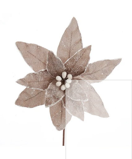 [086131597145] 14"FROSTED PLATINUM POINSETTIA. 
