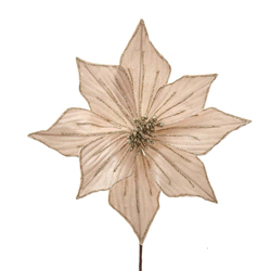 [086131551871] 14"CHAMPAGNE VELVET POINSETTIA.